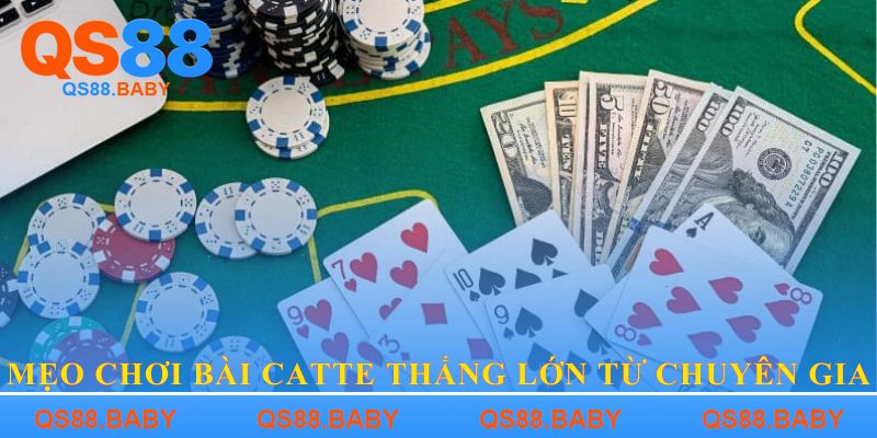 Mẹo chơi bài catte thắng lớn từ chuyên gia