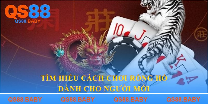 Tìm hiểu cách chơi rồng hổ dành cho người mới
