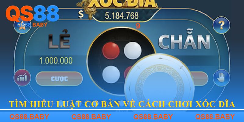 Tìm hiểu luật cơ bản về cách chơi xóc dĩa