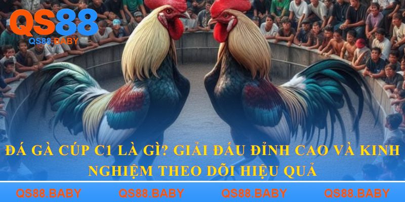 Đá gà cúp C1