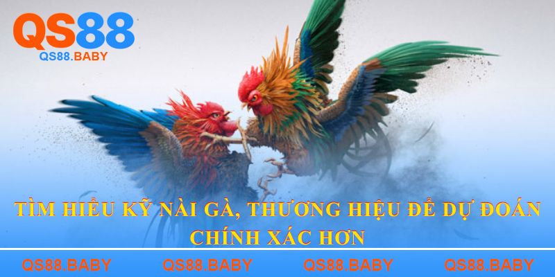 Tìm hiểu kỹ nài gà, thương hiệu để dự đoán chính xác hơn