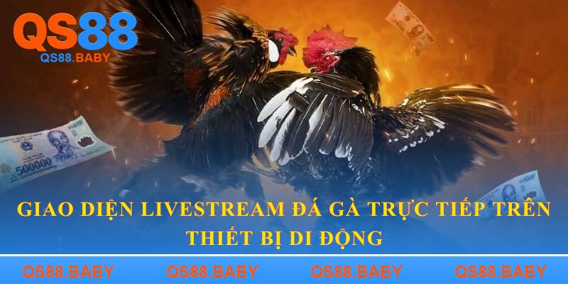 Giao diện livestream đá gà trực tiếp trên thiết bị di động