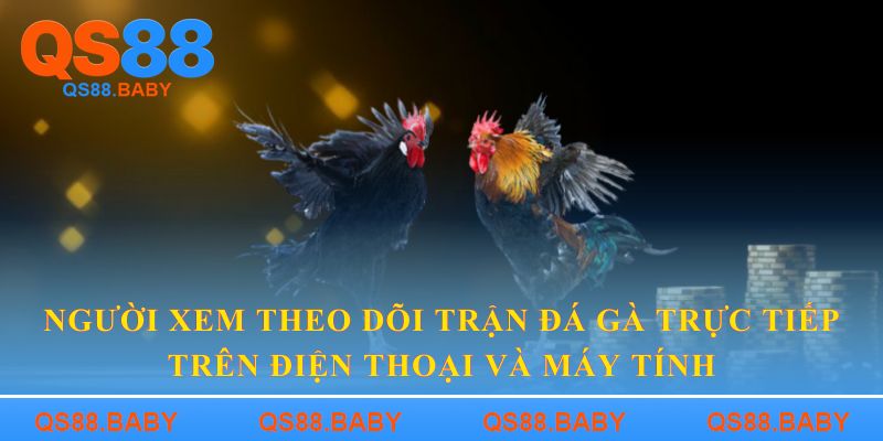 Người xem theo dõi trận đá gà trực tiếp trên điện thoại và máy tính