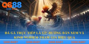Đá gà trực tiếp